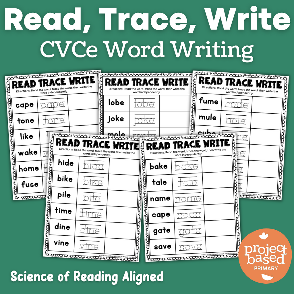 CVCe No Prep Printables Bundle