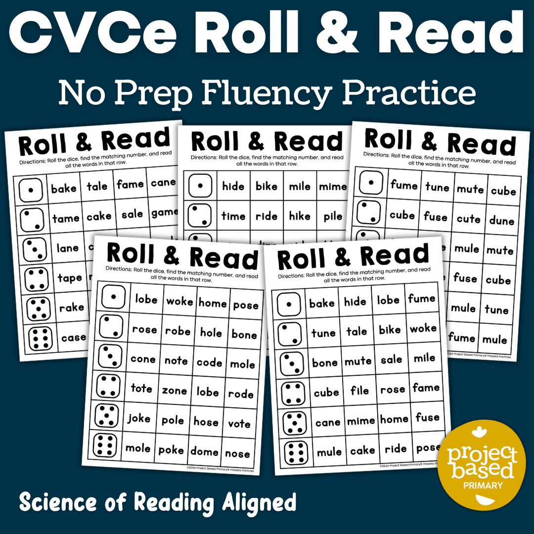 CVCe Roll and Read No Prep Pack