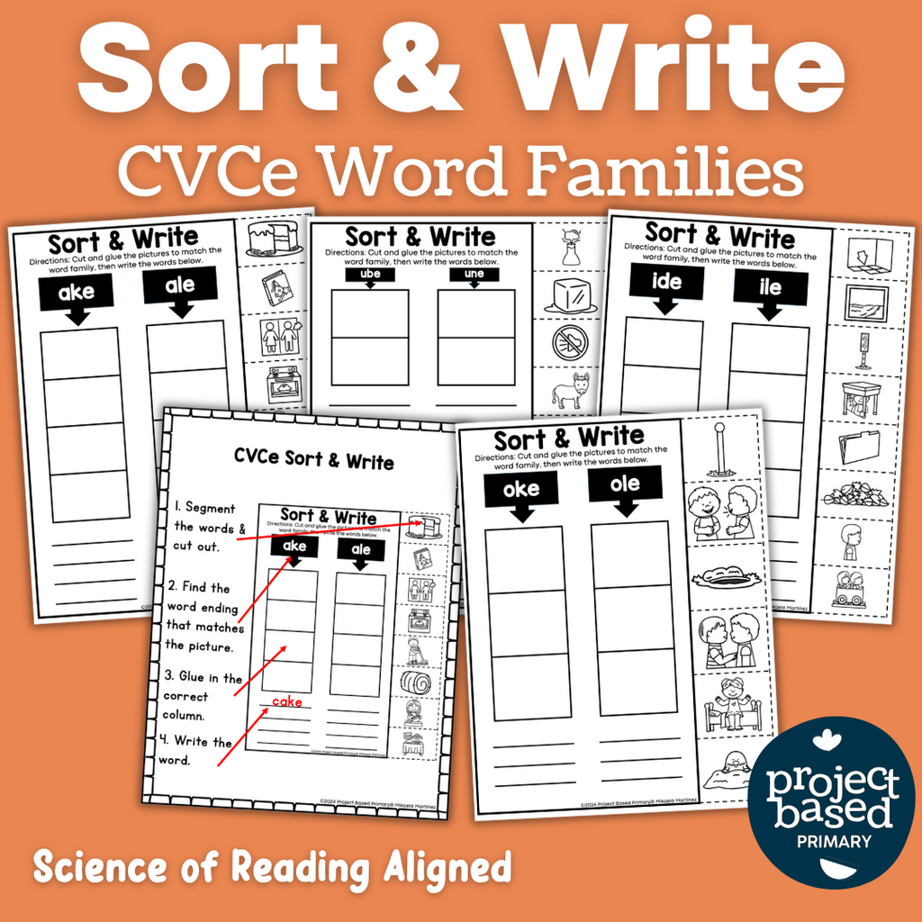 CVCe No Prep Printables Bundle