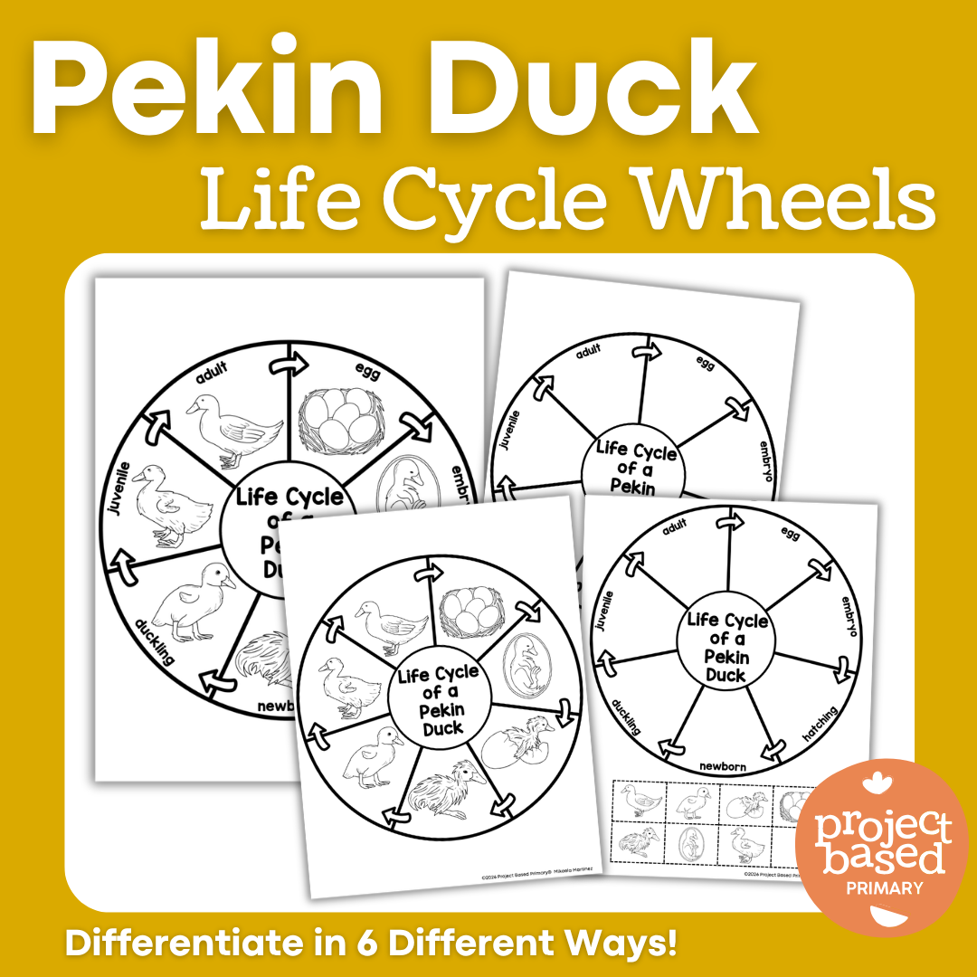 Duck Life Cycle Wheels