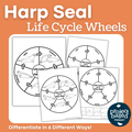 Harp Seal Life Cycle Wheels
