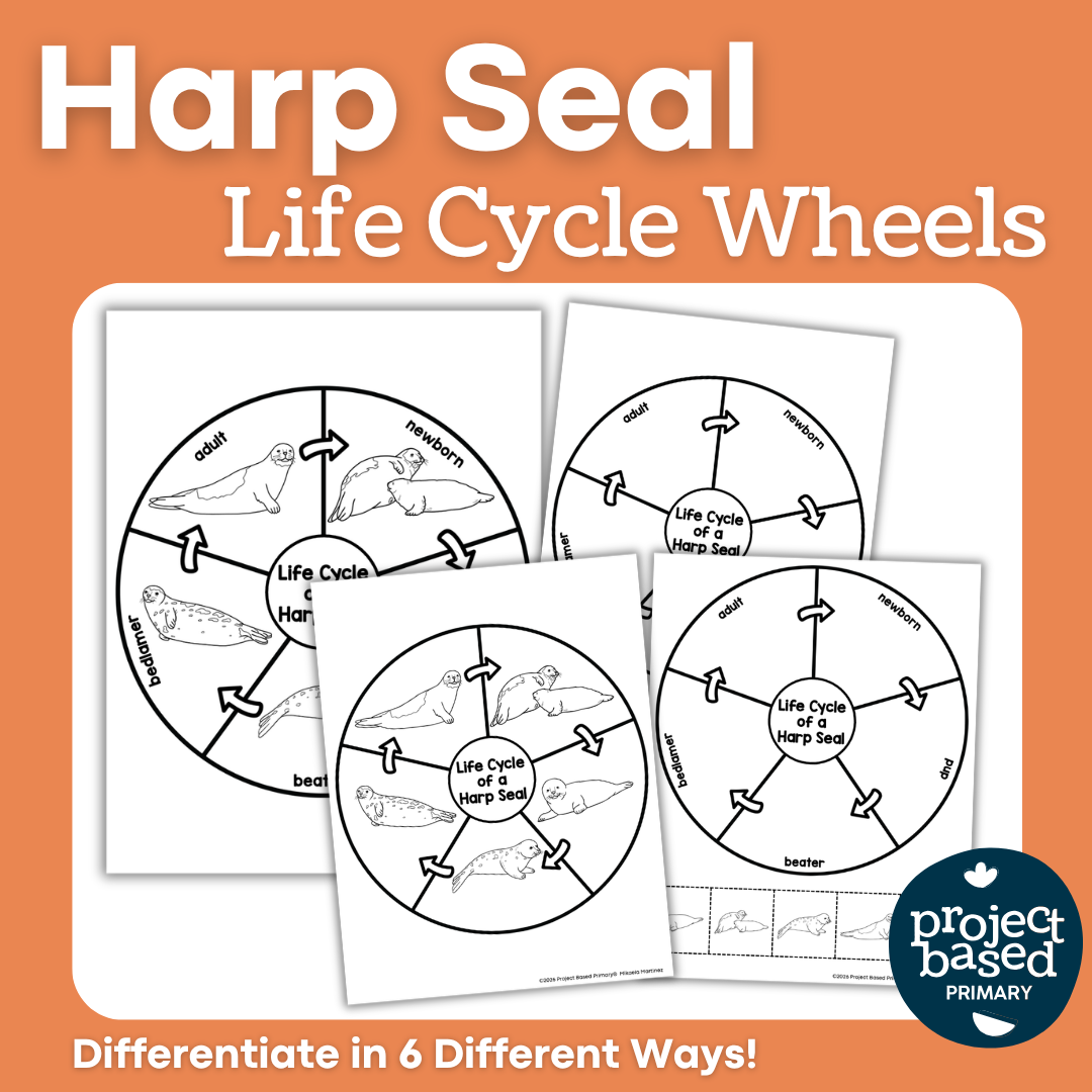 Harp Seal Life Cycle Wheels