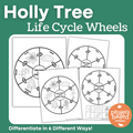 Holly Tree Life Cycle Wheel
