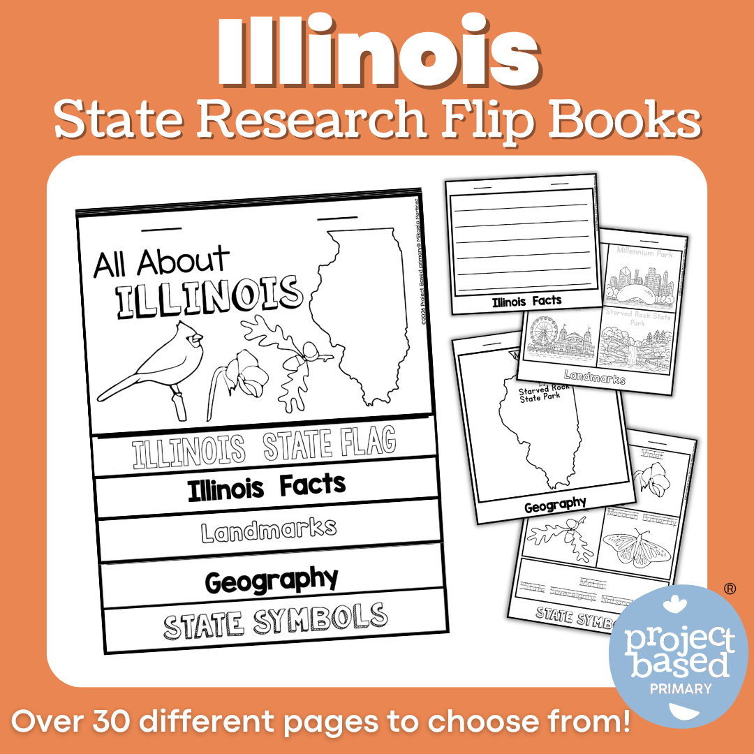 Illinois State Report Flip Book
