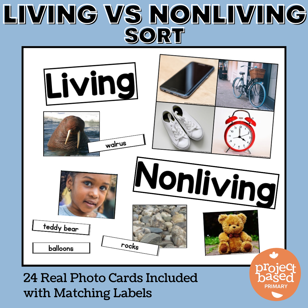 Living vs Non Living Things Sort