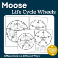 Moose Life Cycle Wheels