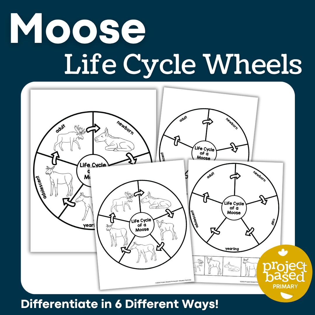 Moose Life Cycle Wheels