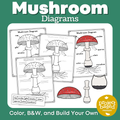 Mushroom Diagrams Build a Mushroom