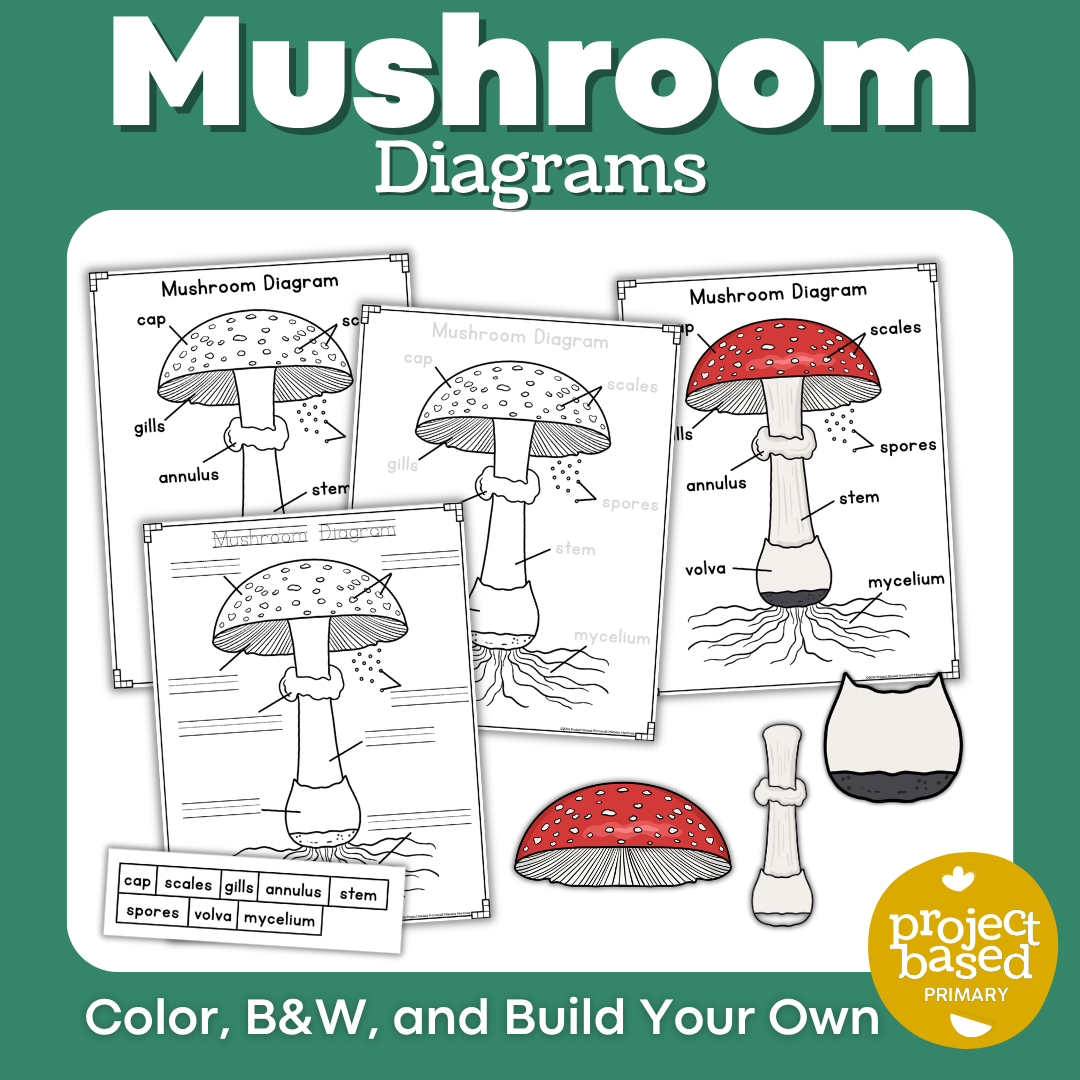 Mushrooms & Fungi Research BUNDLE