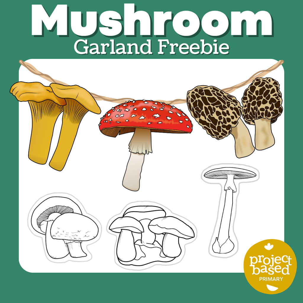 Mushrooms & Fungi Research BUNDLE