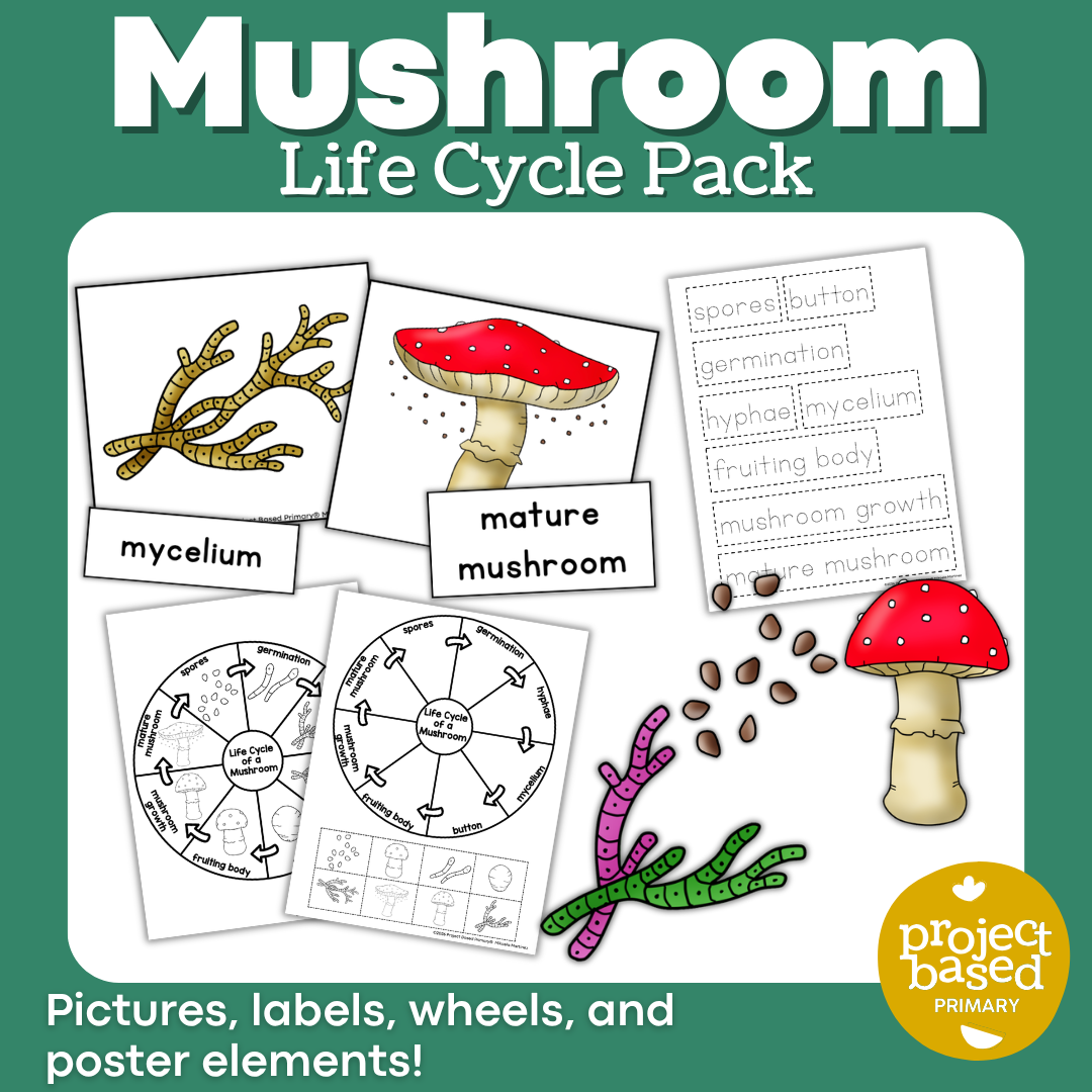 Mushroom Life Cycle Pack