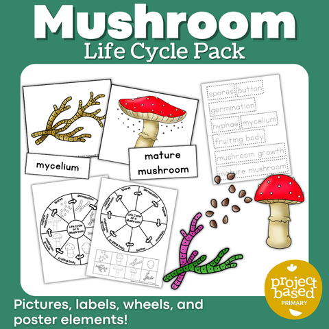 Mushroom Life Cycle Pack