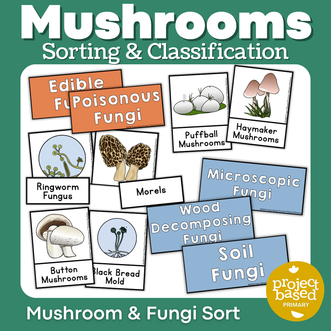 Mushroom and Fungi Sorting & Classification