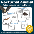 Nocturnal Animal Adaptations Sort & Match
