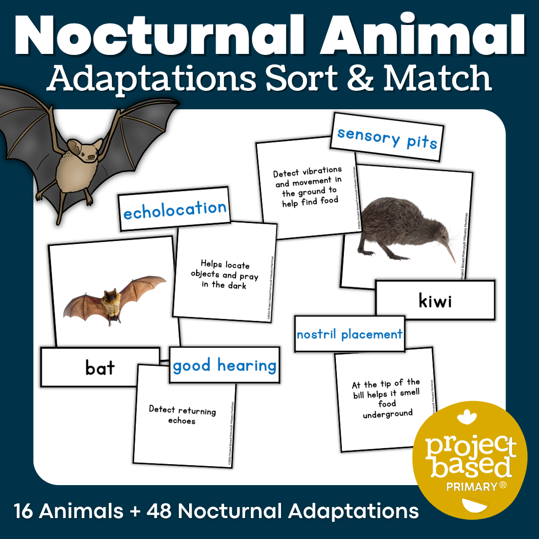 Nocturnal Animal Adaptations Sort & Match