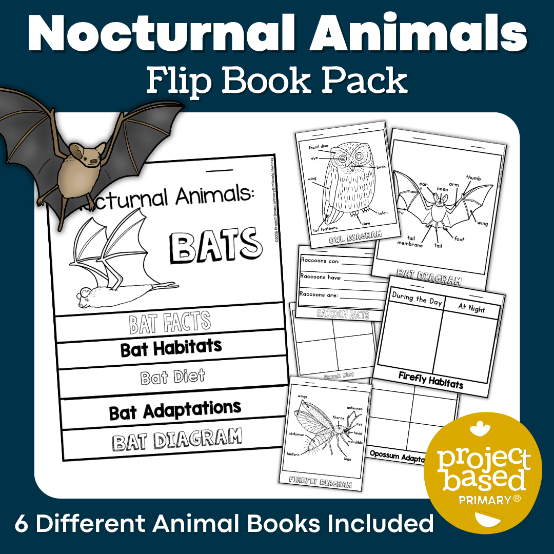 Nocturnal Animal Flip Books