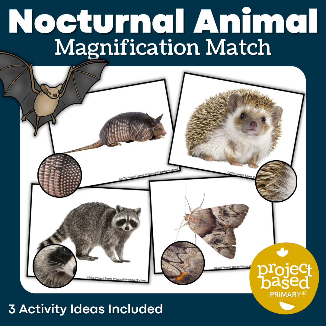 Nocturnal Animal Magnification Match