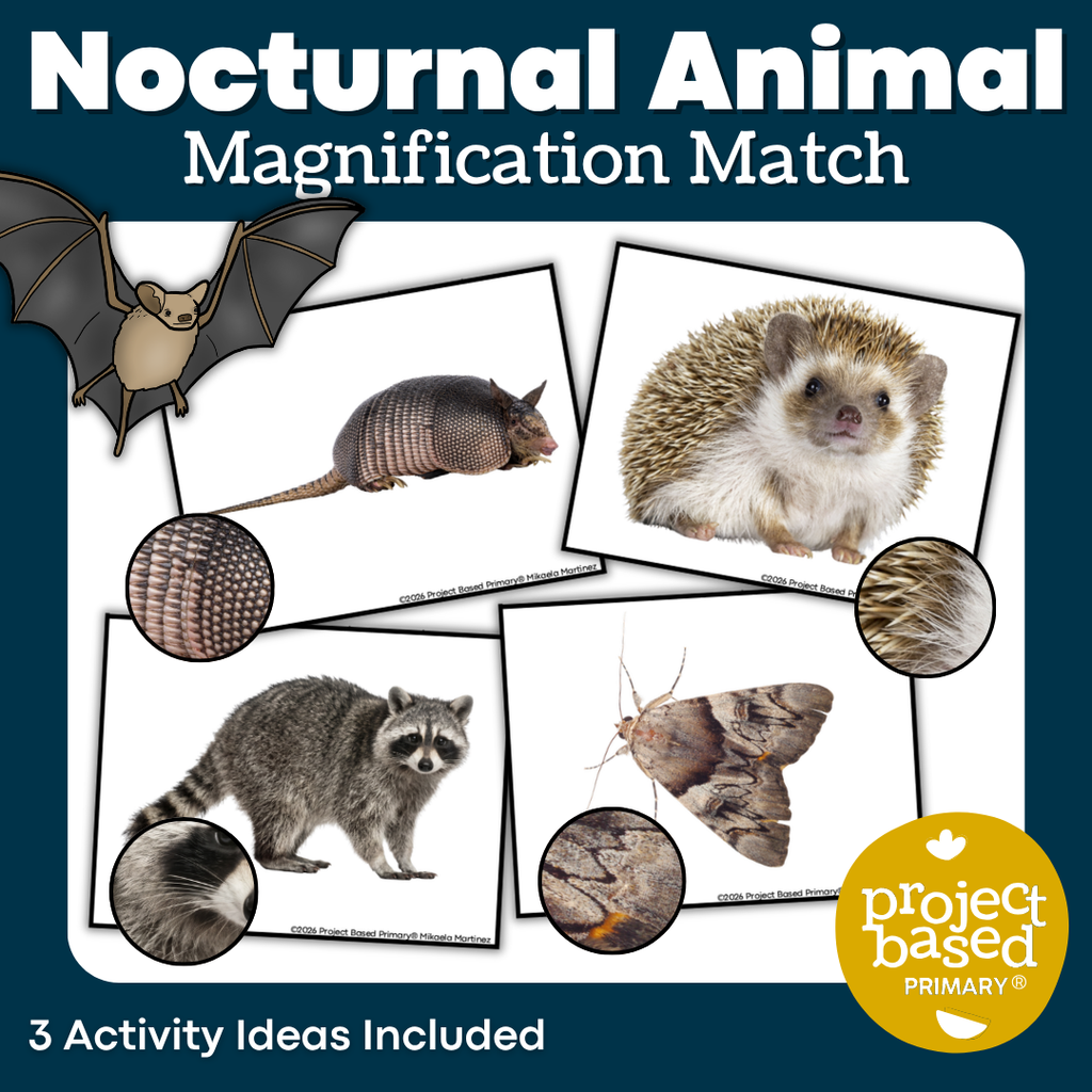 Nocturnal Animals Project Based Learning Research Bundle