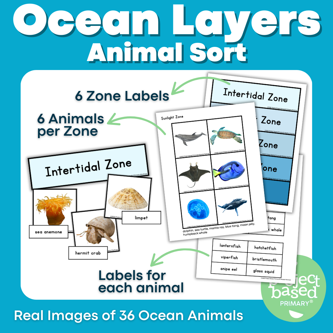 Ocean Layer Animal Sort