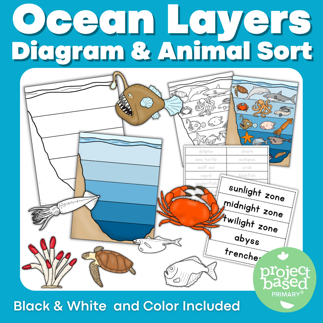 Ocean Layer Diagram & Animal Sort