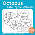Octopus Life Cycle Wheels