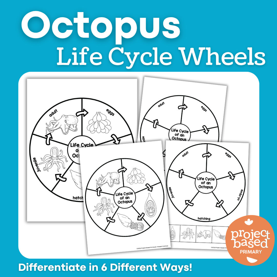 Octopus Life Cycle Wheels