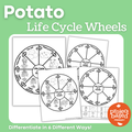 Potato Life Cycle Wheels