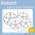 Rabbit Life Cycle Wheels