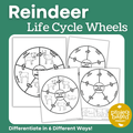 Reindeer Life Cycle Wheels