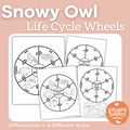 Snowy Owl Life Cycle Wheels