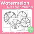 Watermelon Life Cycle Wheels